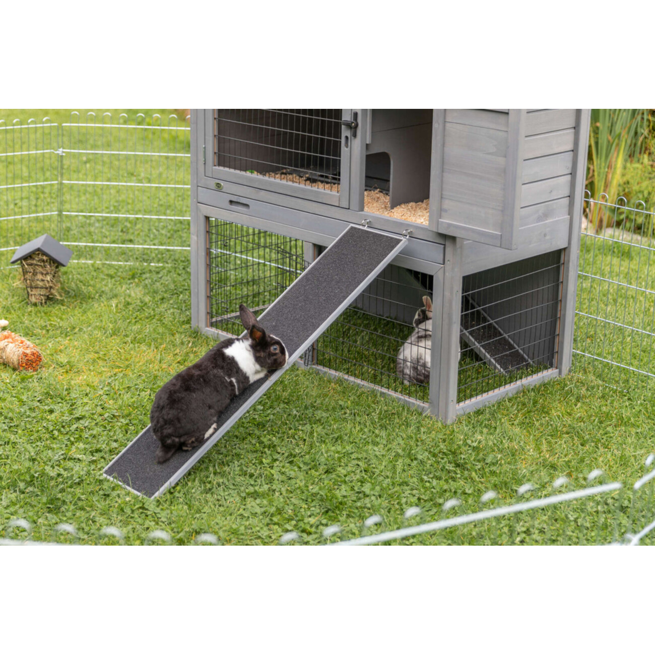 TRIXIE Rampe für Kleintiere – Bequemer Zugang zu Stall & Gehege Bild 7