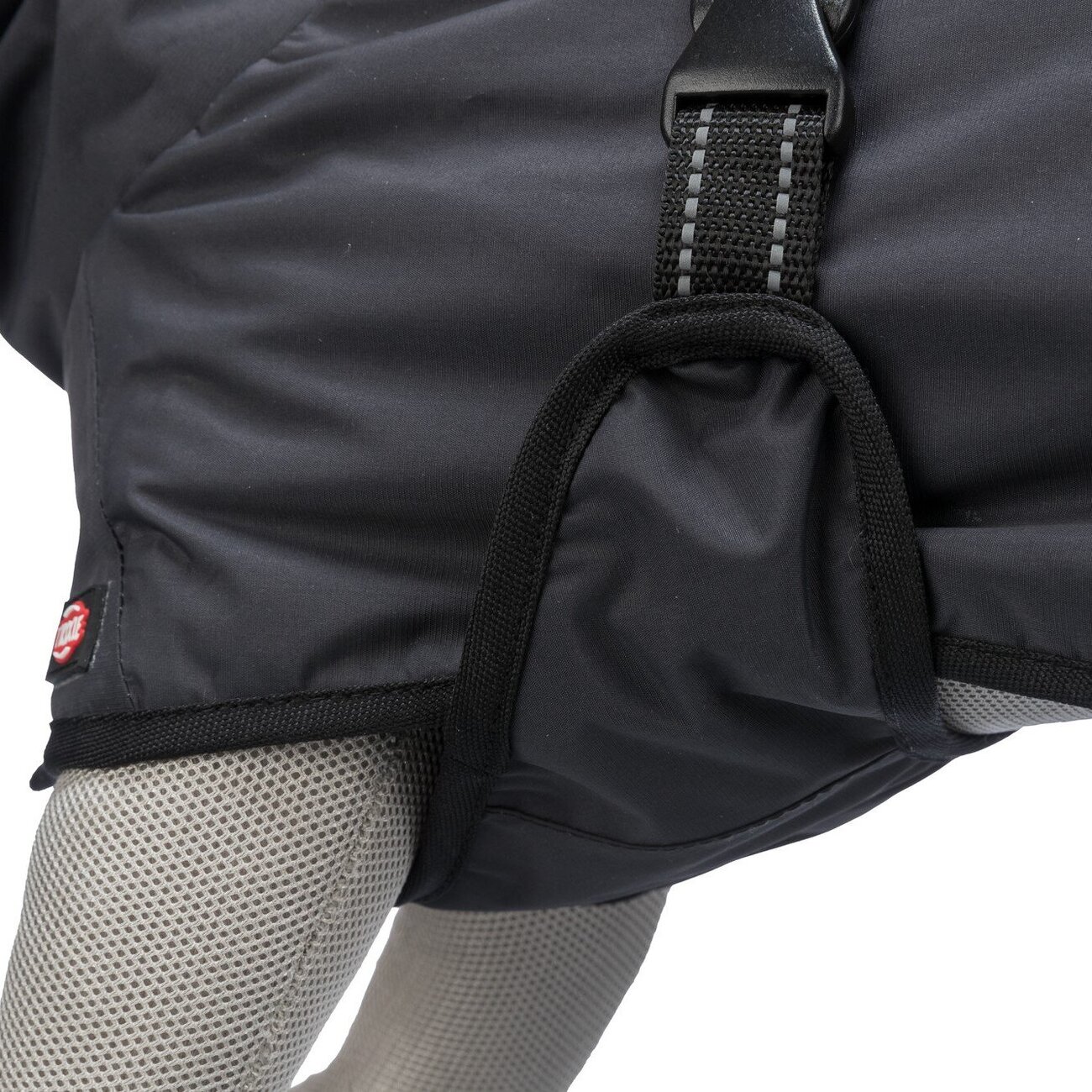 Regenmantel für Hunde Calvi Bild 6