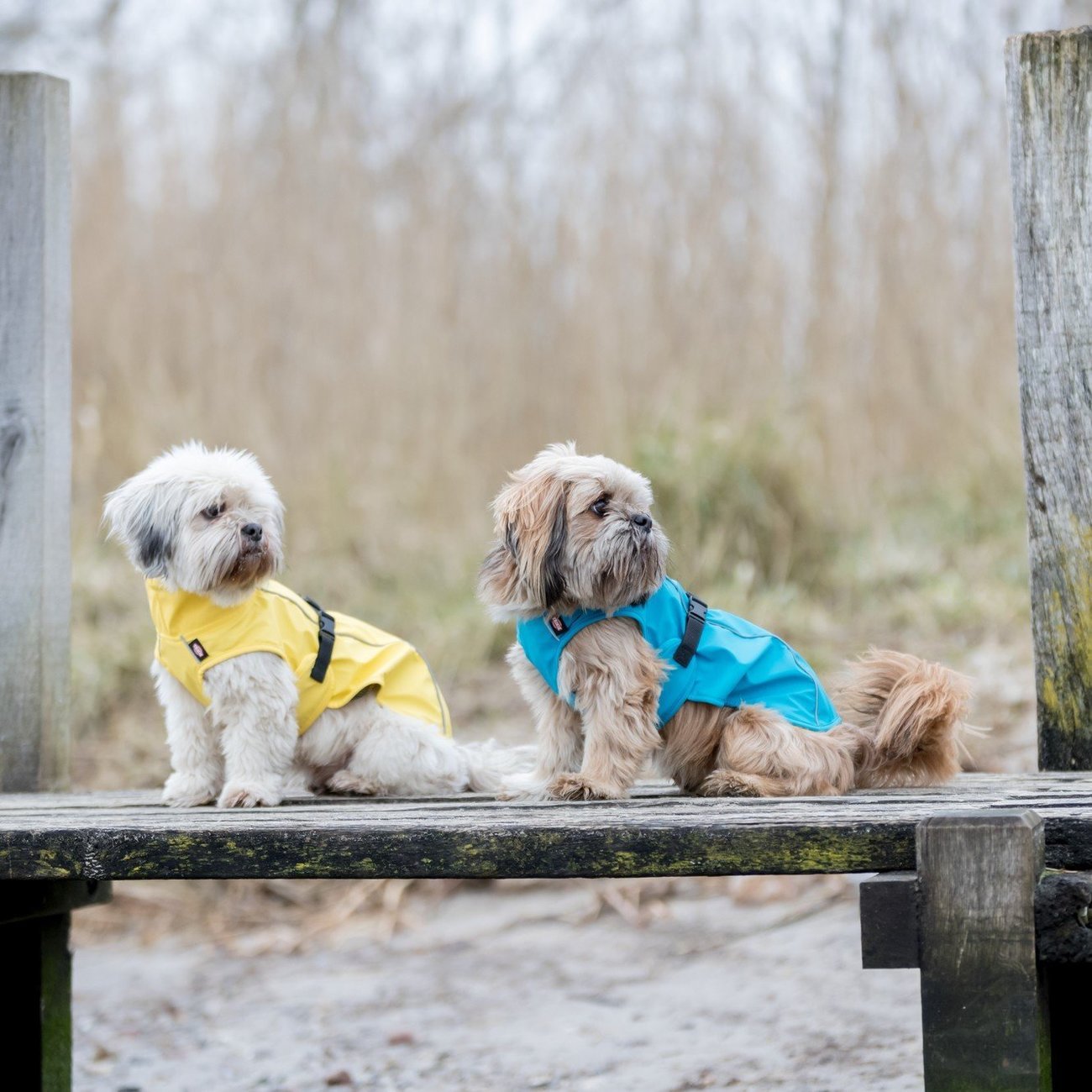 Hunde Regenmantel Vimy mit Bauchschutz Bild 8