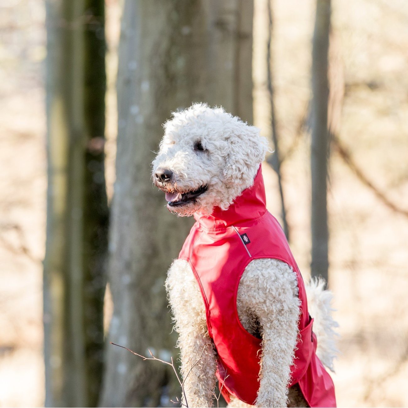 Hunde Regenmantel Vimy mit Bauchschutz Bild 17