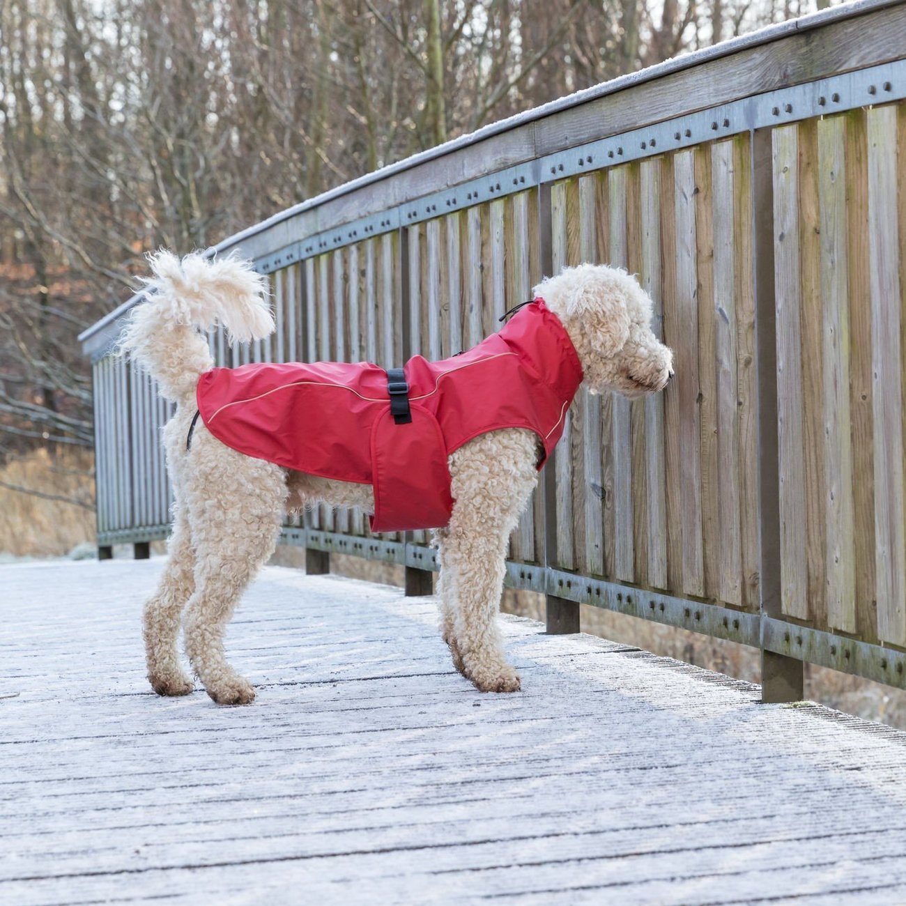Hunde Regenmantel Vimy mit Bauchschutz Bild 18