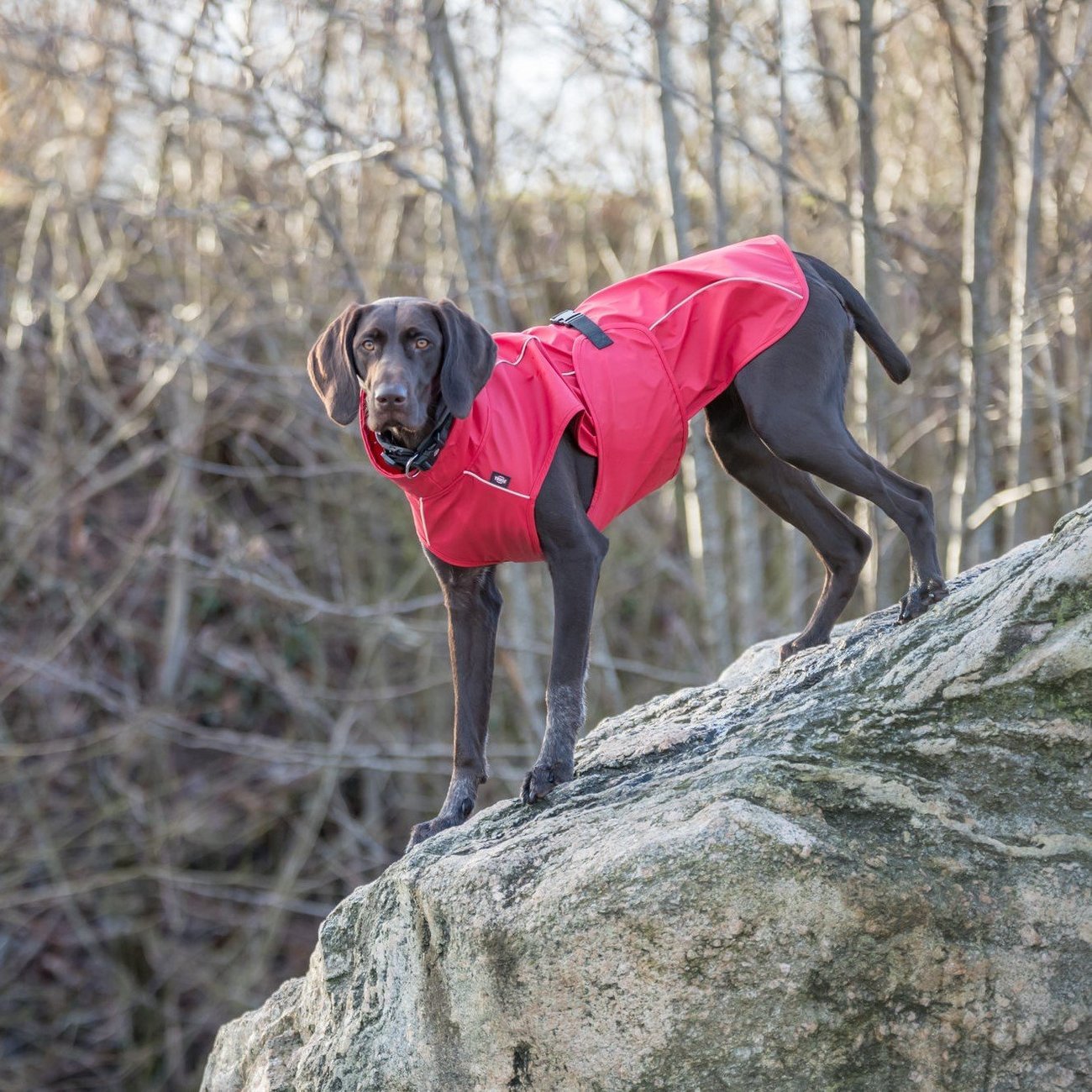 Hunde Regenmantel Vimy mit Bauchschutz Bild 22