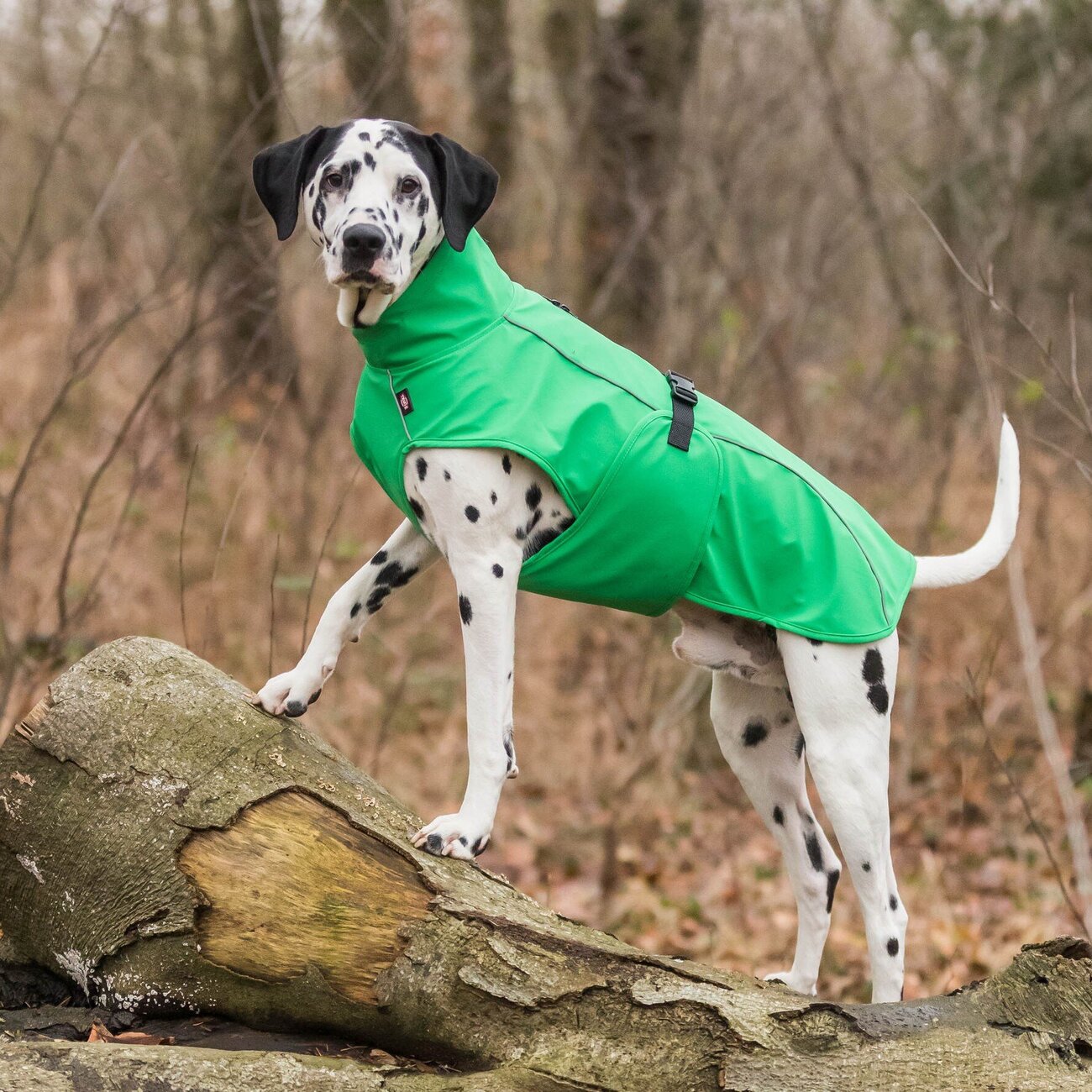 Hunde Regenmantel Vimy mit Bauchschutz Bild 24
