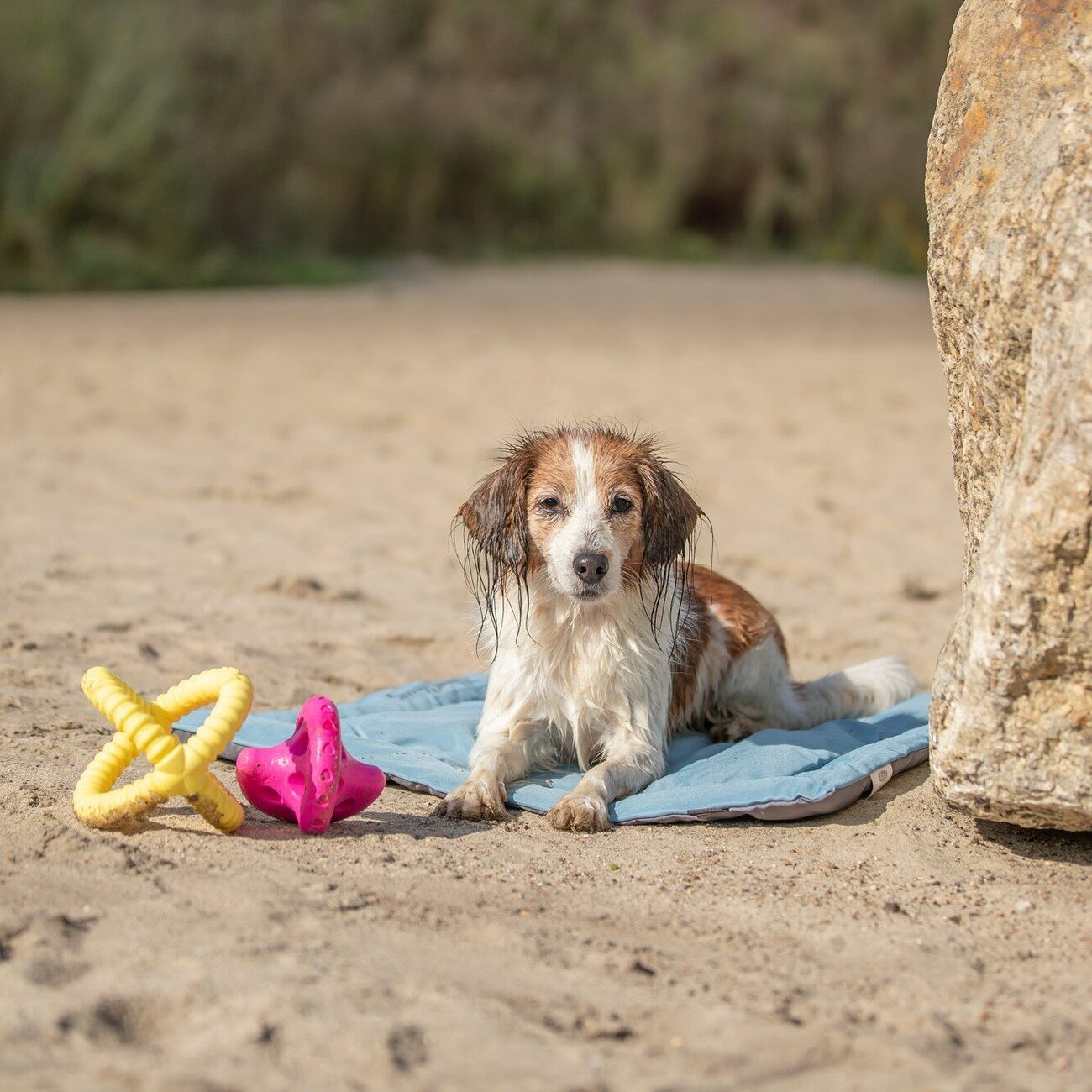 Reisedecke Samoa Classic Bild 2