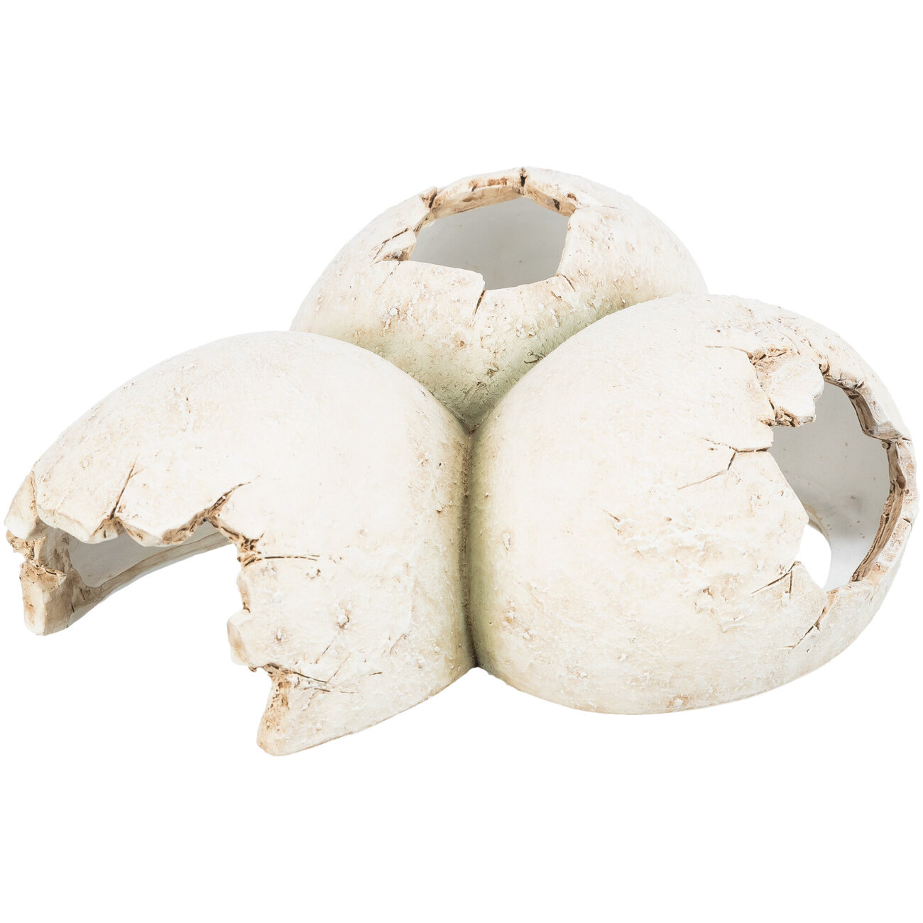 Reptilienhöhle in Eiform Bild 1