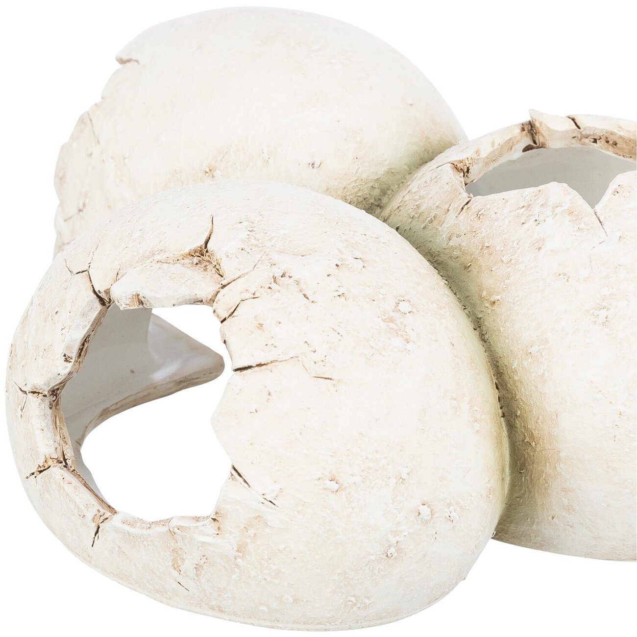 Reptilienhöhle in Eiform Bild 2