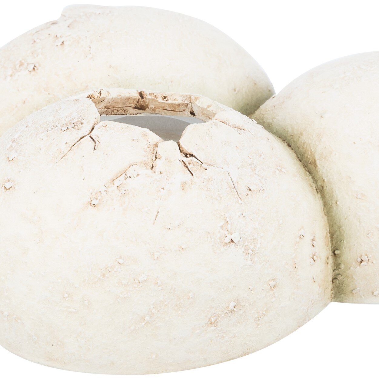 Reptilienhöhle in Eiform Bild 3