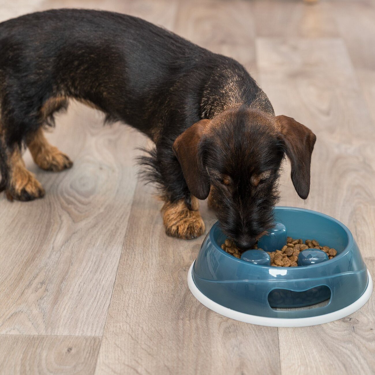 Schlinger Napf Slow Feed für Hunde Bild 2
