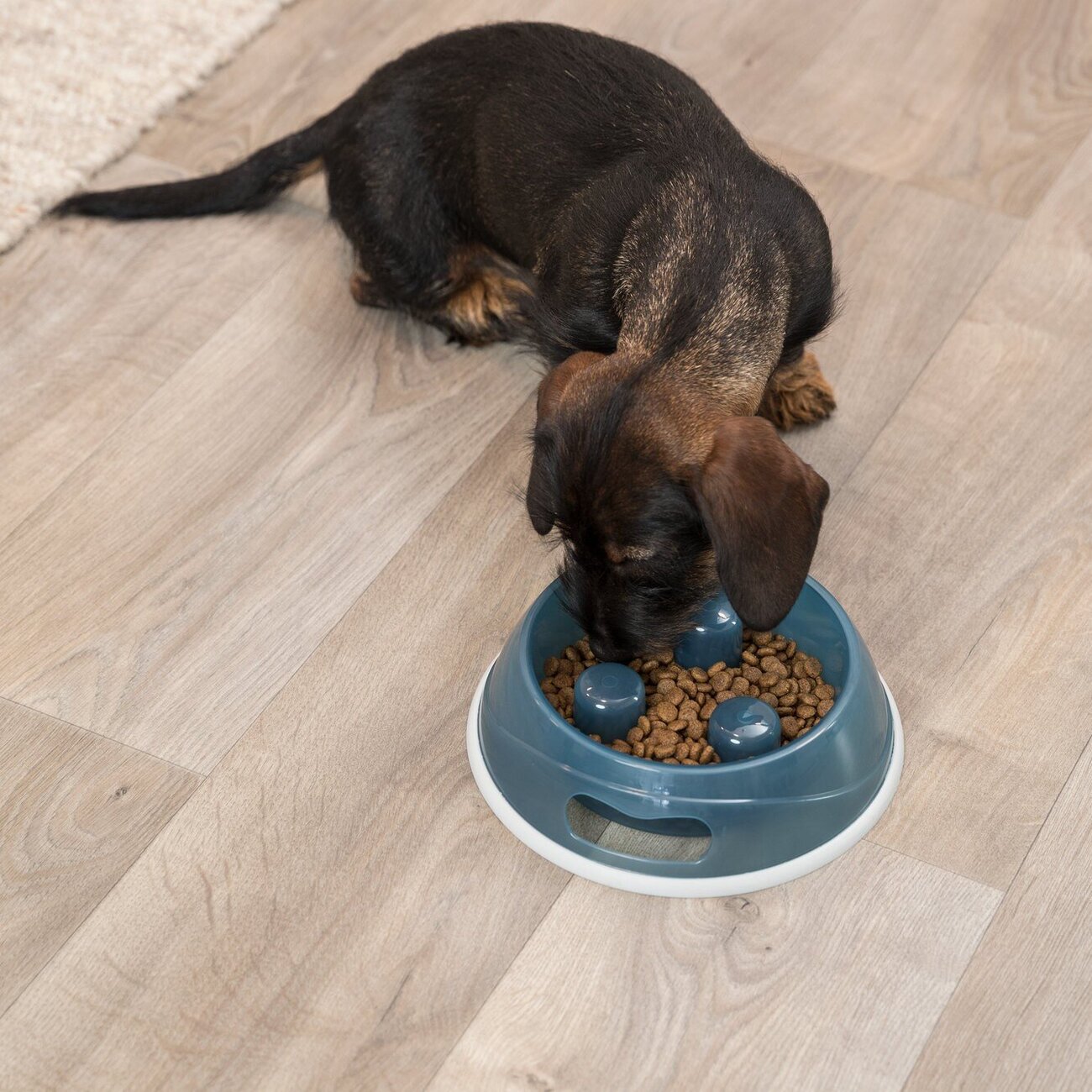 Schlinger Napf Slow Feed für Hunde Bild 15