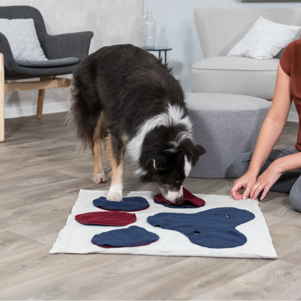 TRIXIE Schnüffeldecke Bild 2