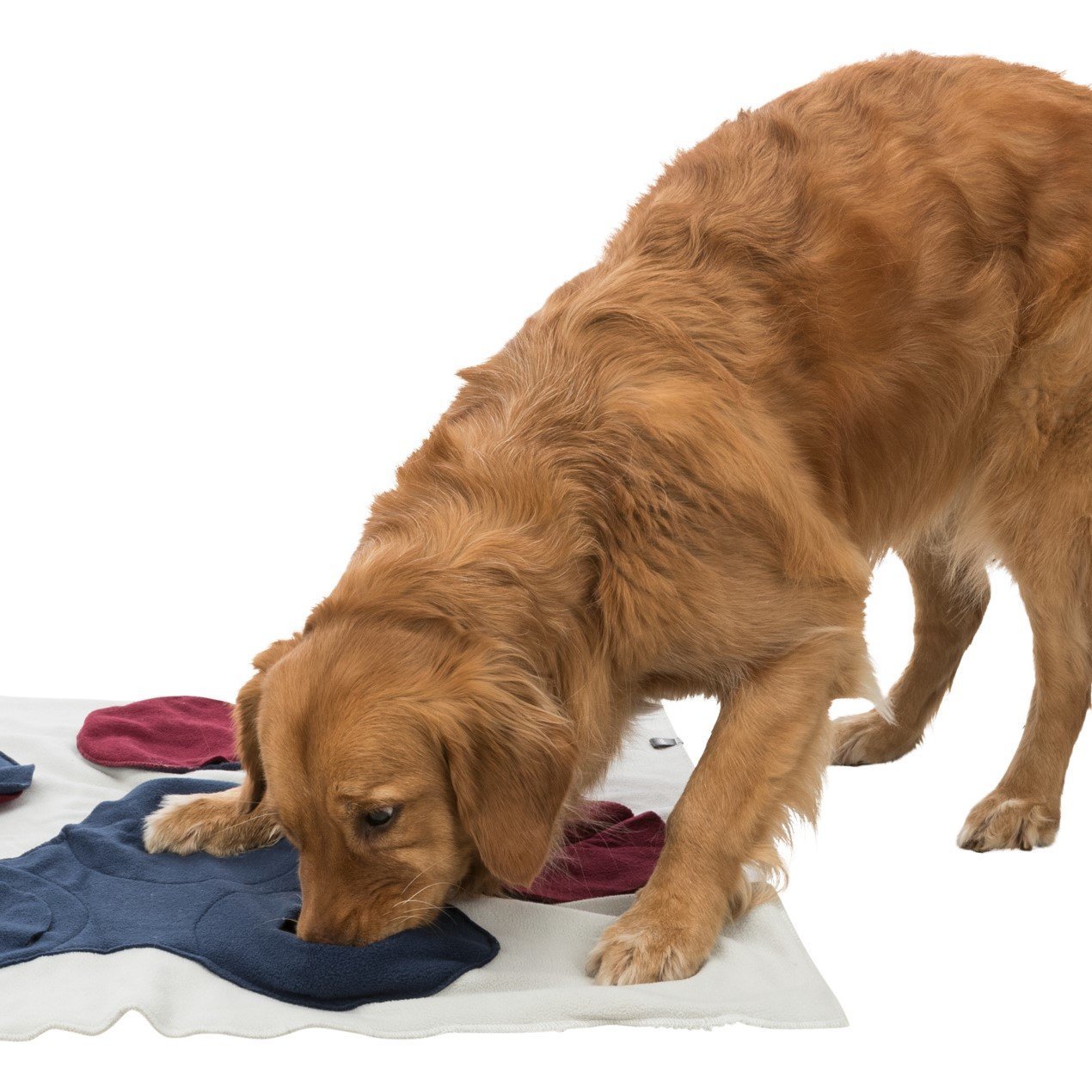 TRIXIE Schnüffeldecke Bild 3