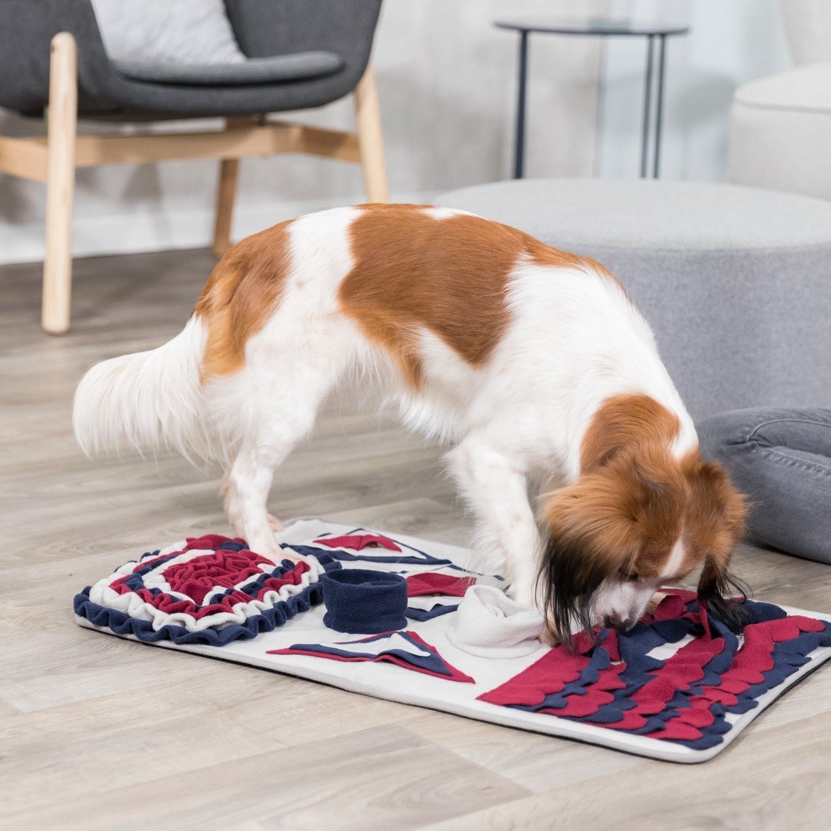 Dog Activity Strategiespiel Schnüffelteppich für Hunde Bild 6