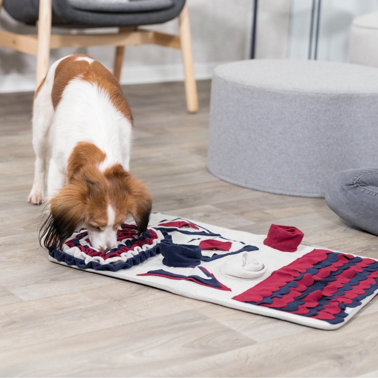 Dog Activity Strategiespiel Schnüffelteppich für Hunde Bild 14