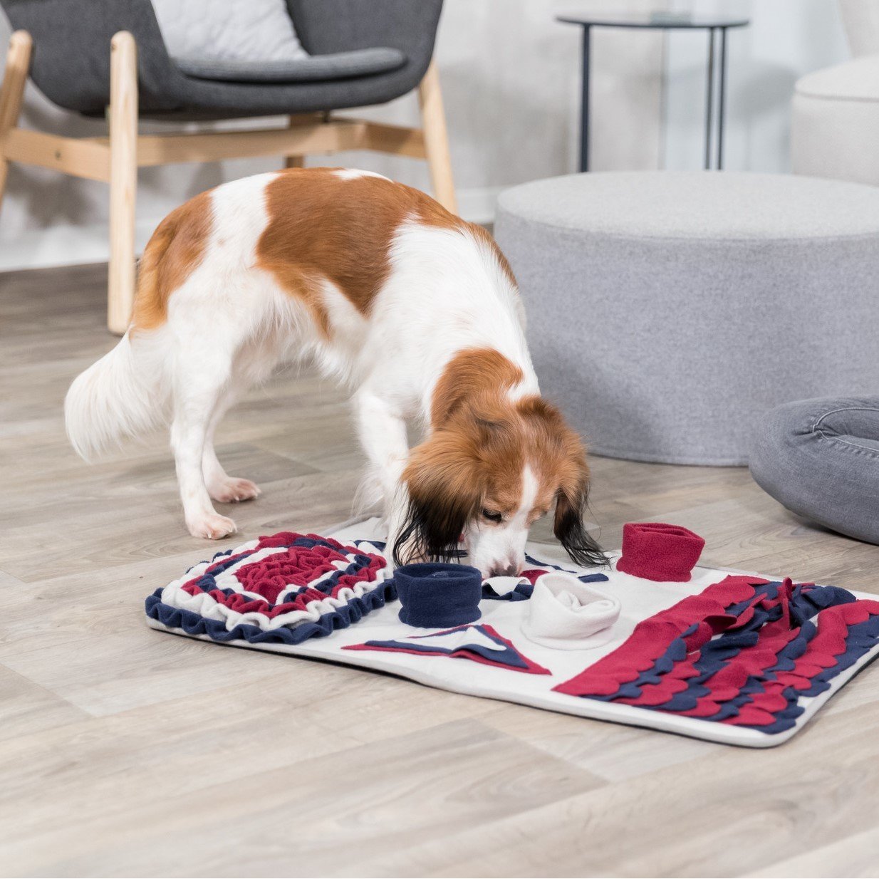 Dog Activity Strategiespiel Schnüffelteppich für Hunde Bild 2