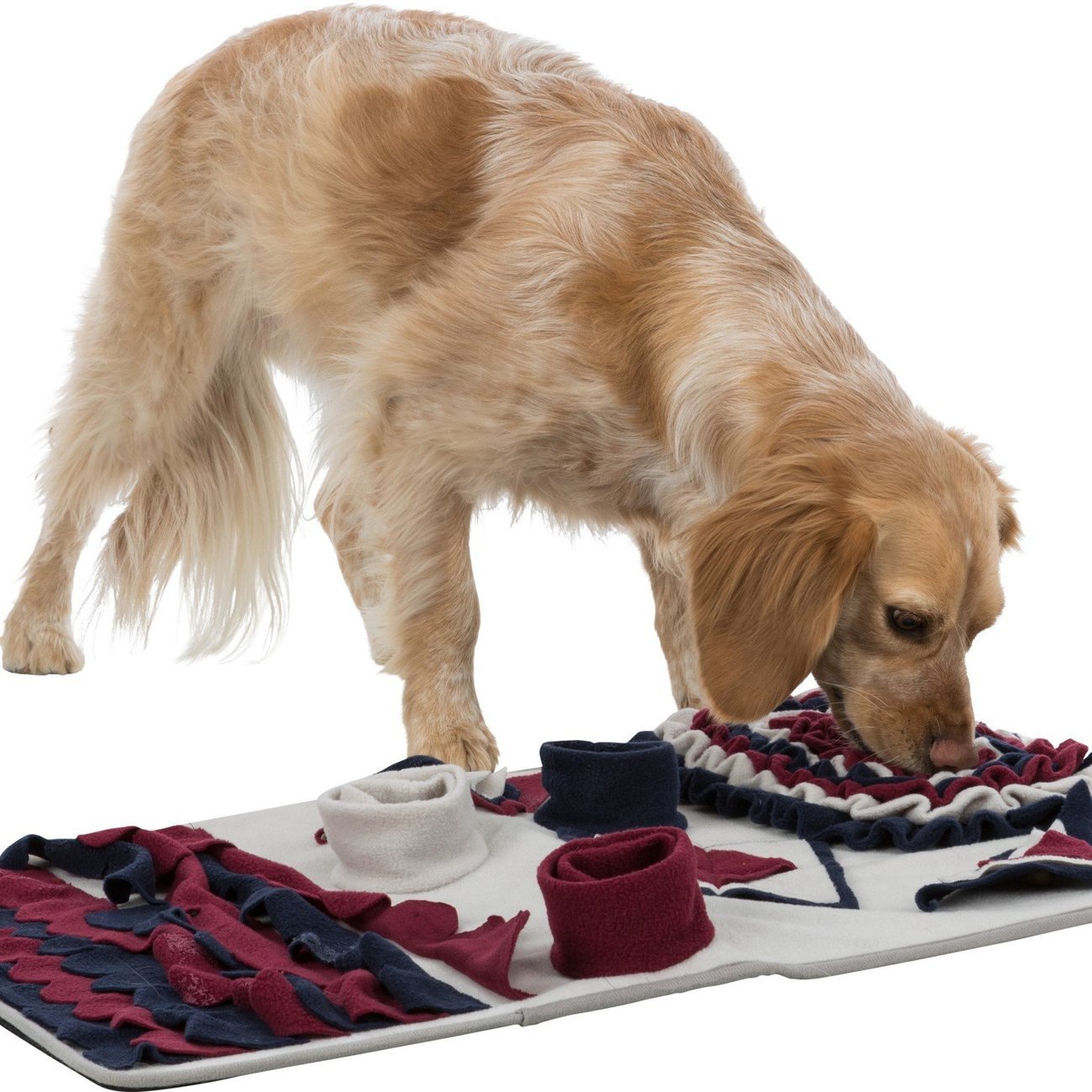 Dog Activity Strategiespiel Schnüffelteppich für Hunde Bild 3