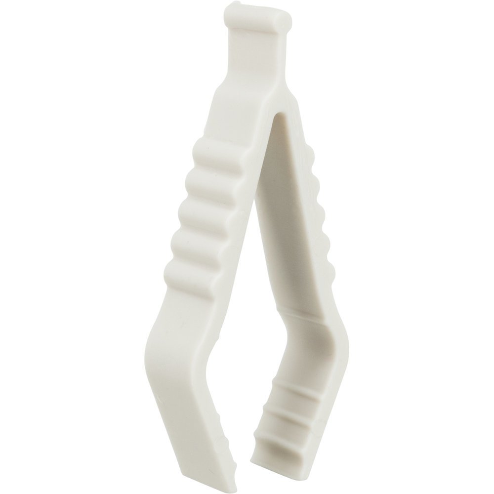 Sepia-Calcium-Stein Bild 4