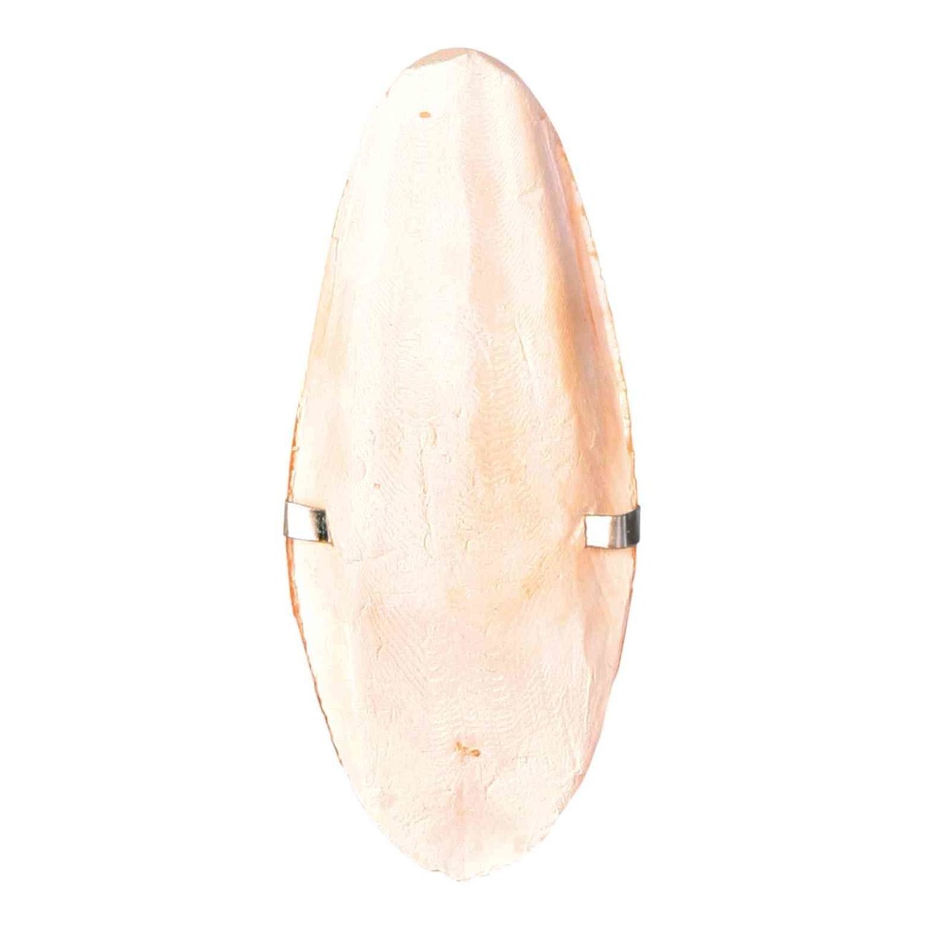 Sepiaschale für Vögel Bild 1