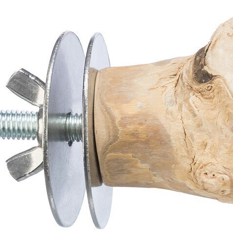 Sitzstange aus Kaffeeholz Bild 2