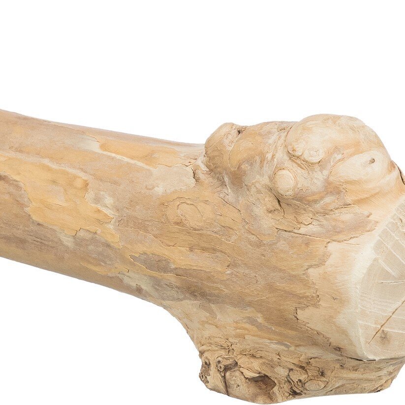 Sitzstange aus Kaffeeholz Bild 3