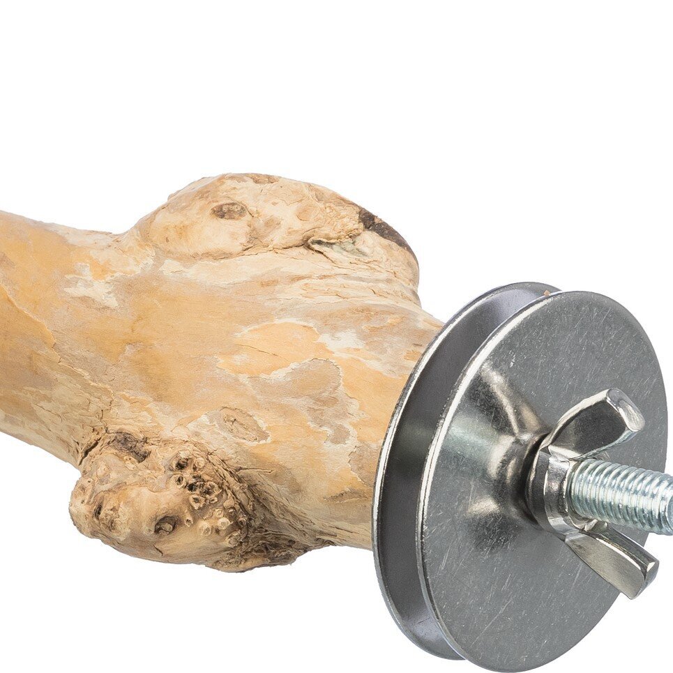 Sitzstange aus Kaffeeholz Bild 4