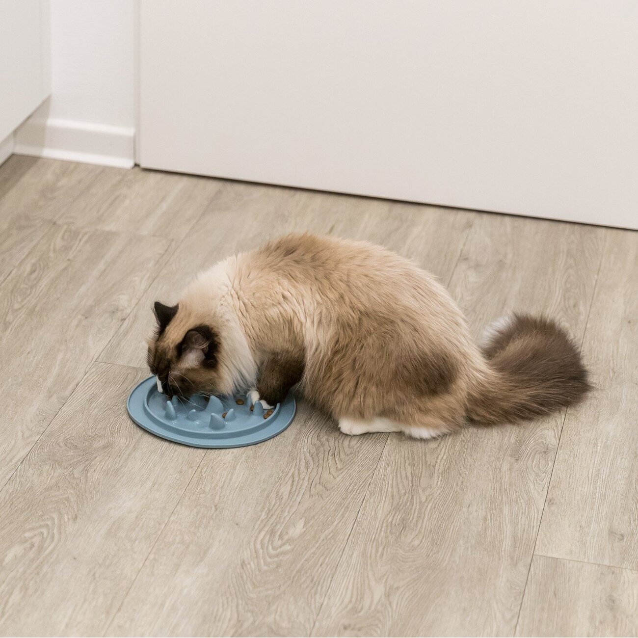 Slow Feed Futtermatte für Hunde und Katzen Bild 7