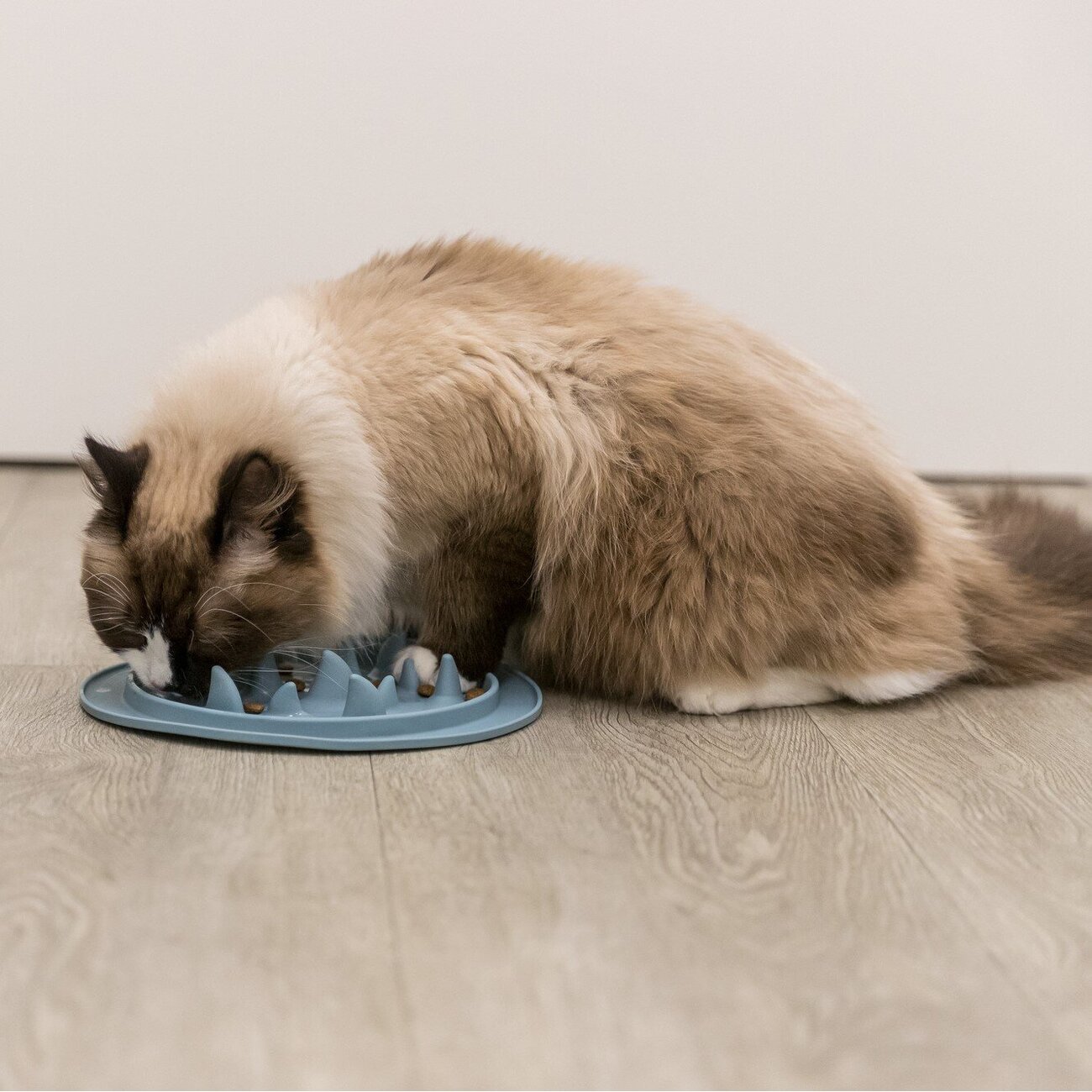 Slow Feed Futtermatte für Hunde und Katzen Bild 2