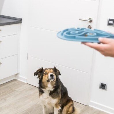 Slow Feeding Futtermatte für Hunde Bild 3