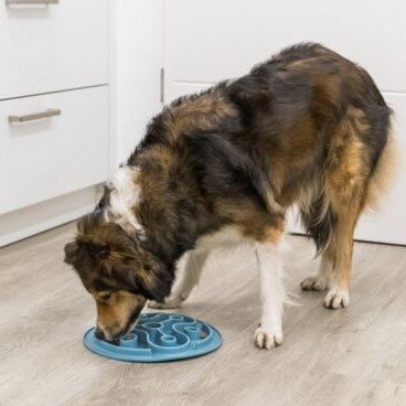 Slow Feeding Futtermatte für Hunde Bild 2