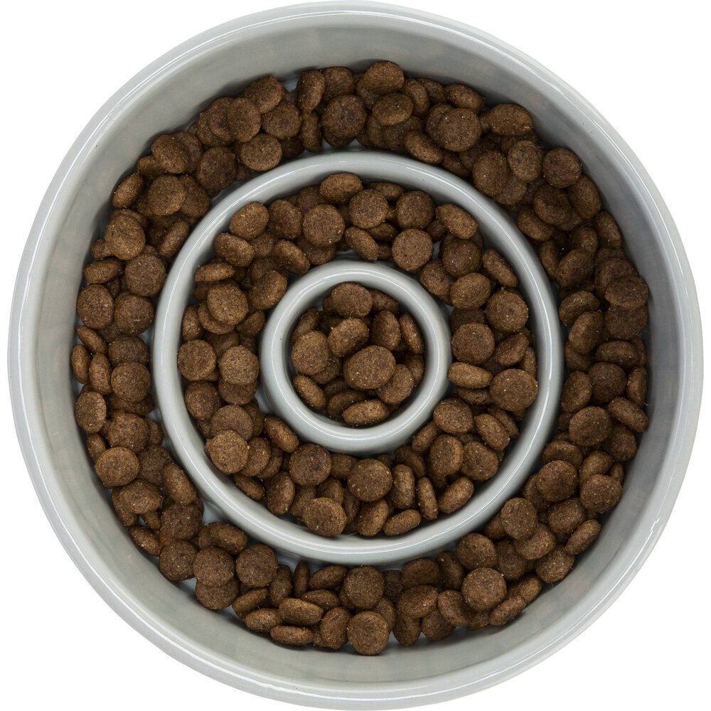 Slow Feeding Keramiknapf für Hunde Bild 5