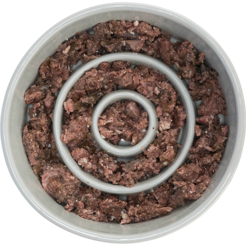 Slow Feeding Keramiknapf für Hunde Bild 3