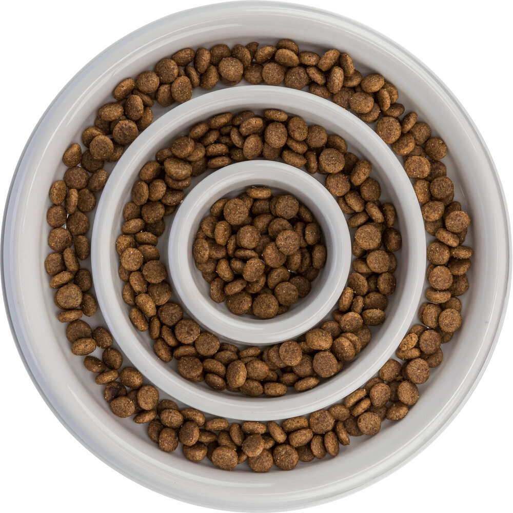 Slow Feeding Kunststoffnapf für Hunde Bild 6