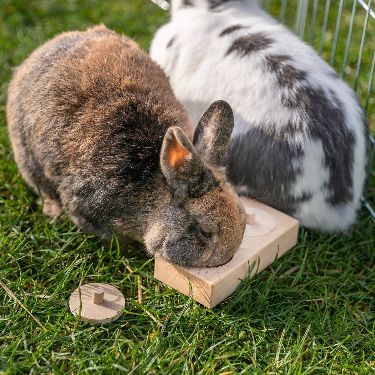 interaktive Snack Box für Kleintiere, Nager Bild 2