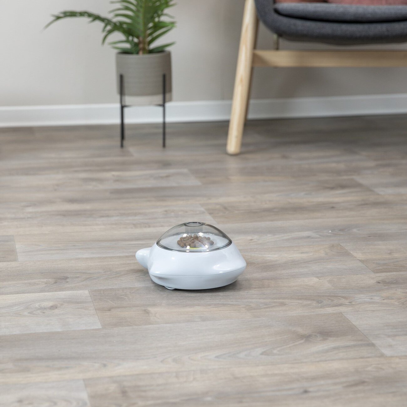 Hundestrategiespiel Snack Popper Bild 2