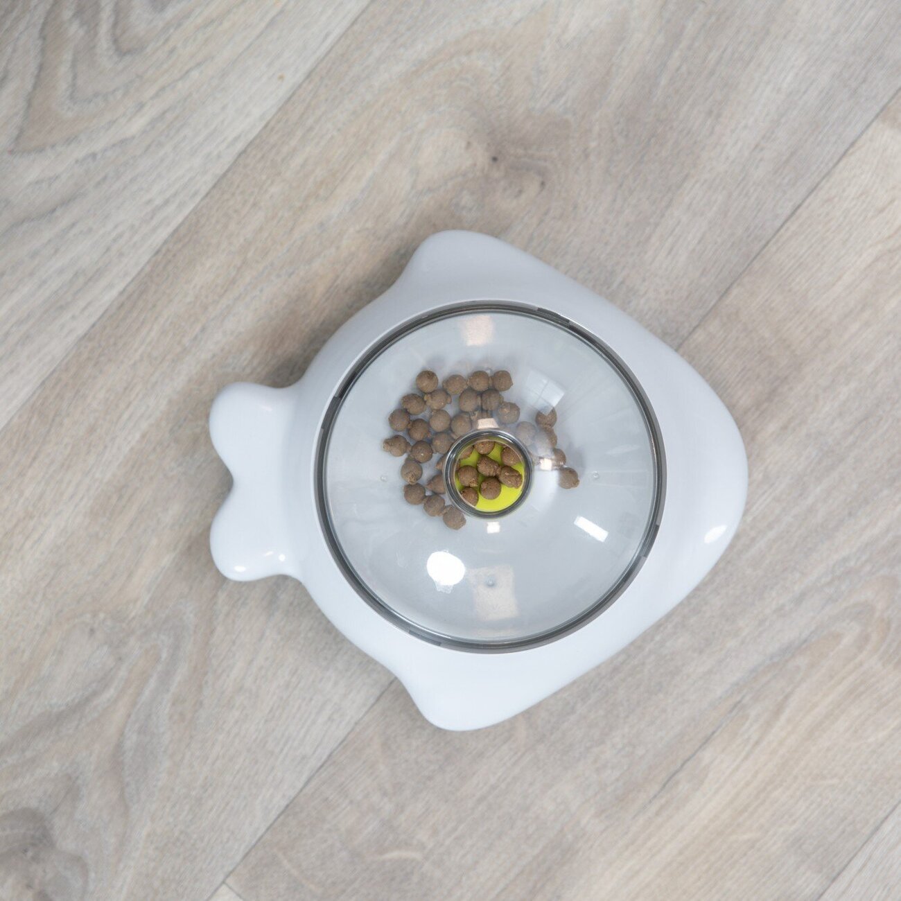 Hundestrategiespiel Snack Popper Bild 3