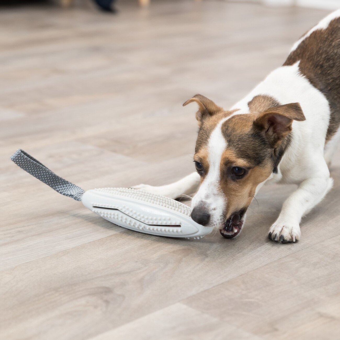 Snack-Stick am Gurt für Hunde Bild 2