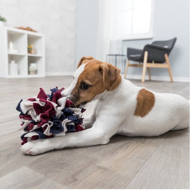 Dog Activity Schnüffelball aus Stoff für Hunde Bild 2