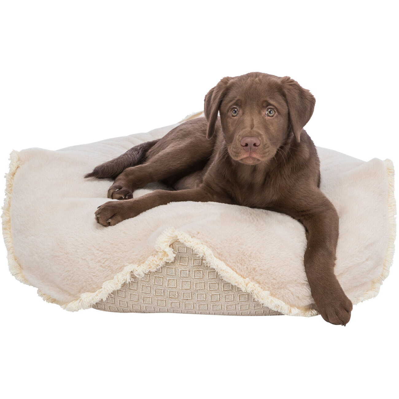 Soft Edition Hundekissen Boho Bild 2