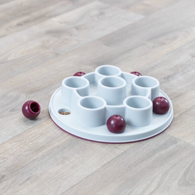 Cat Activity Pentagon Katzenstrategiespiel Bild 4