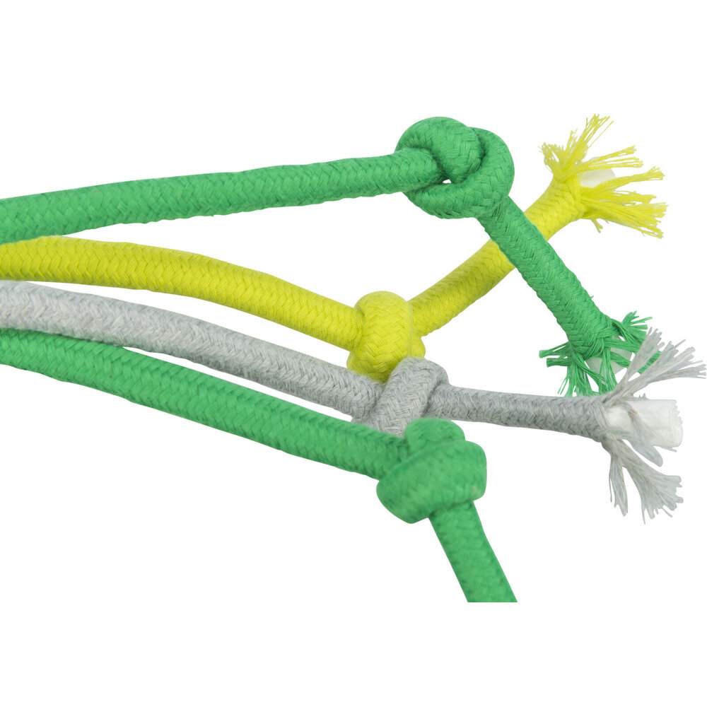 Hunde Spieltau mit Gummi Ball Bild 2