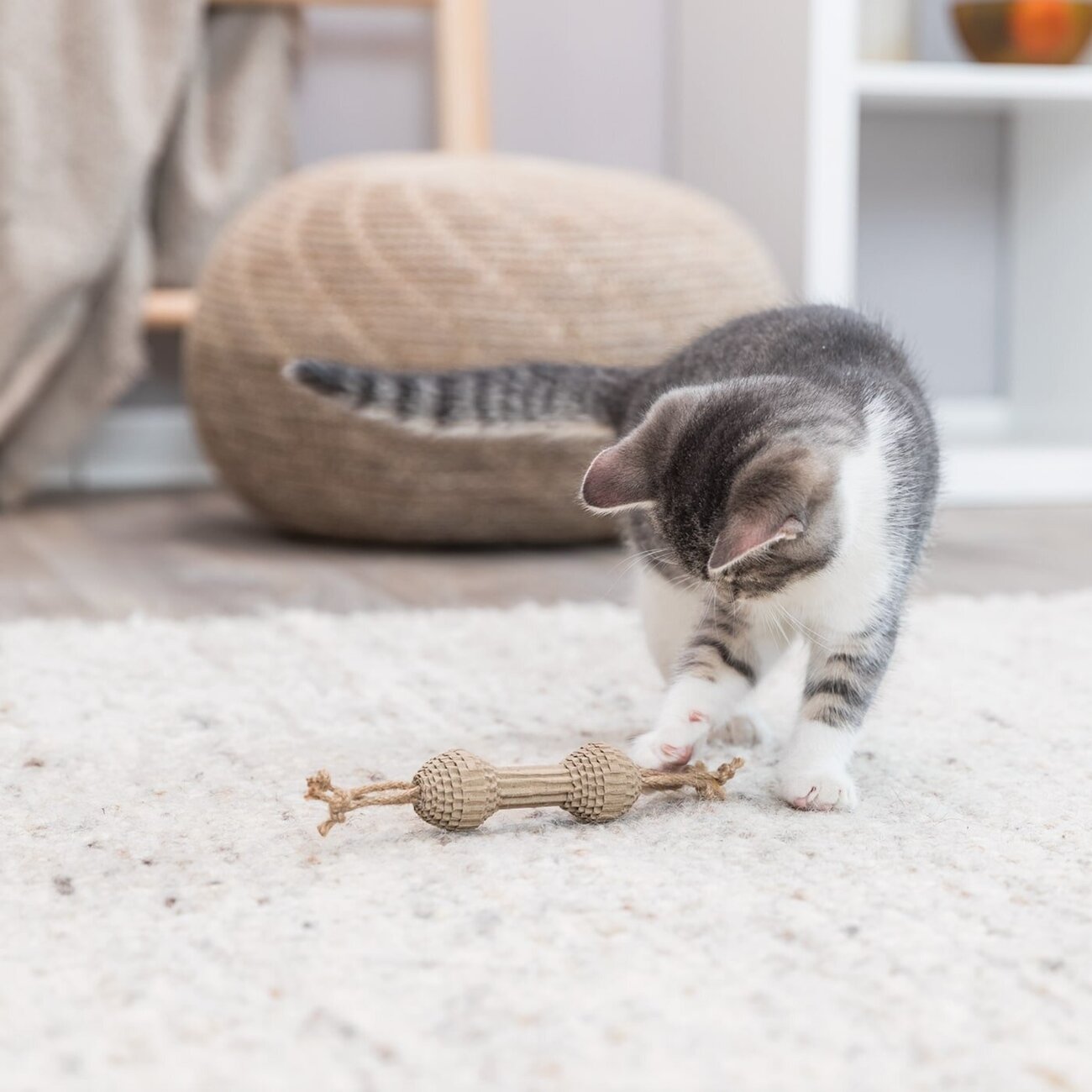 Spielzeug Hantel für Katzen Bild 3