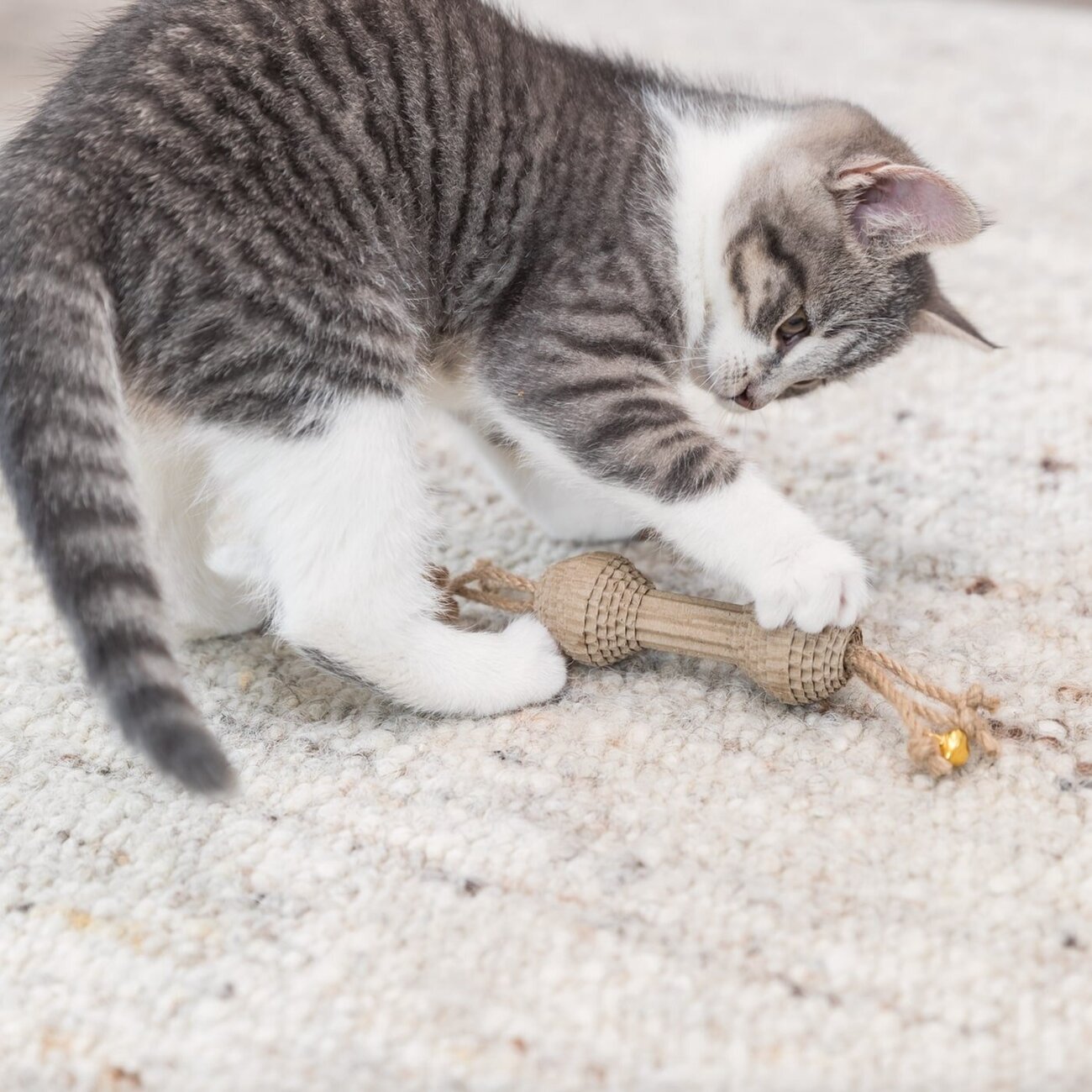 Spielzeug Hantel für Katzen Bild 2