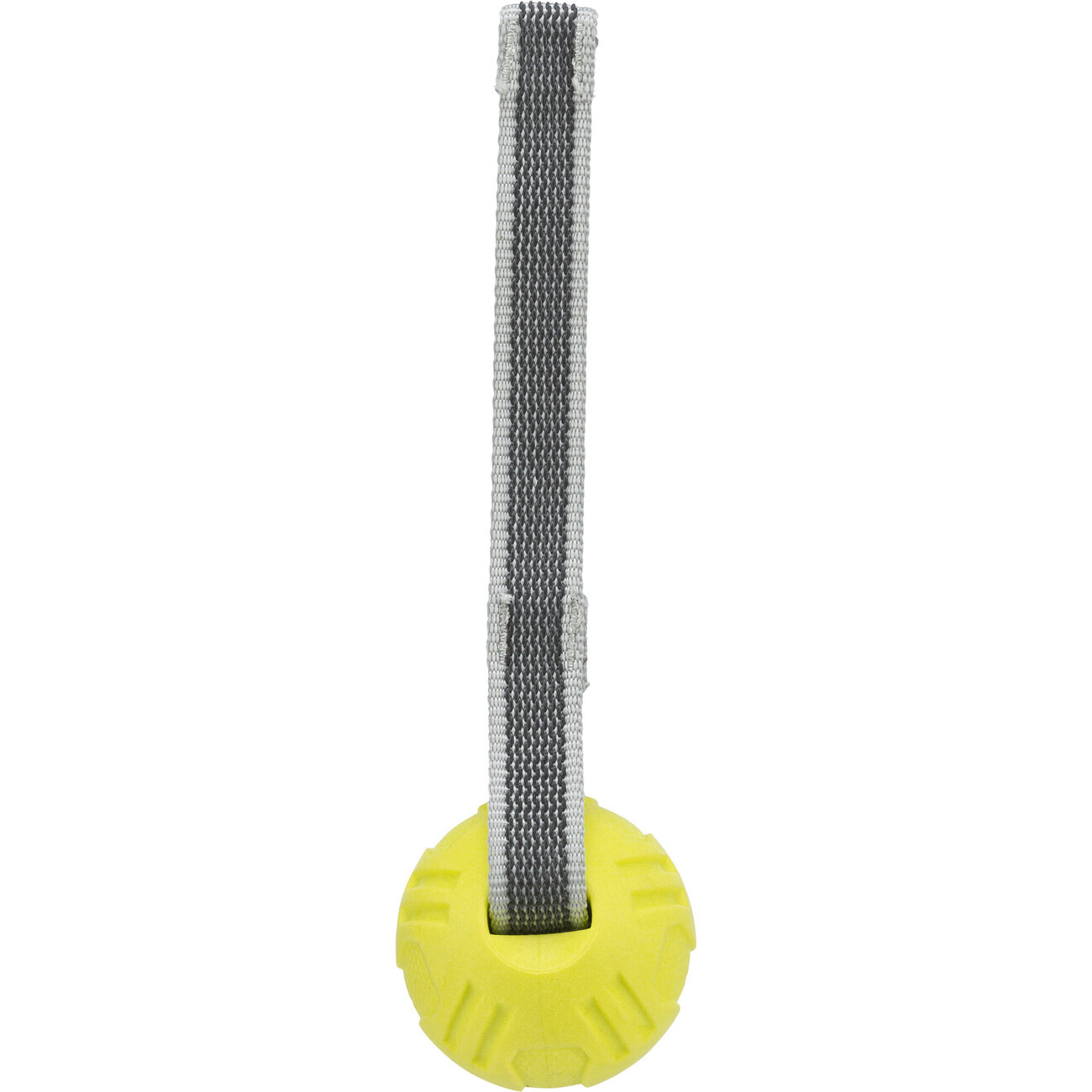 Sporting Ball am Gurt für Hunde Bild 4