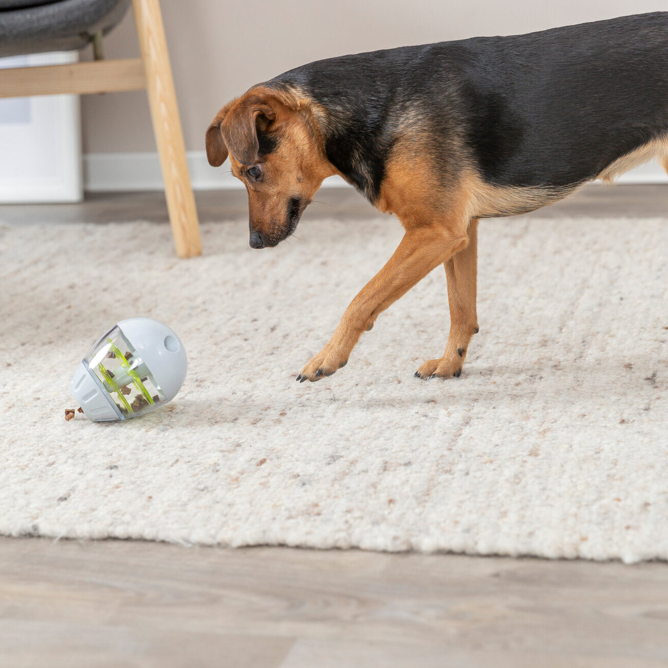 Steh-Auf-Snack-Ei, Hundespielzeug Bild 2