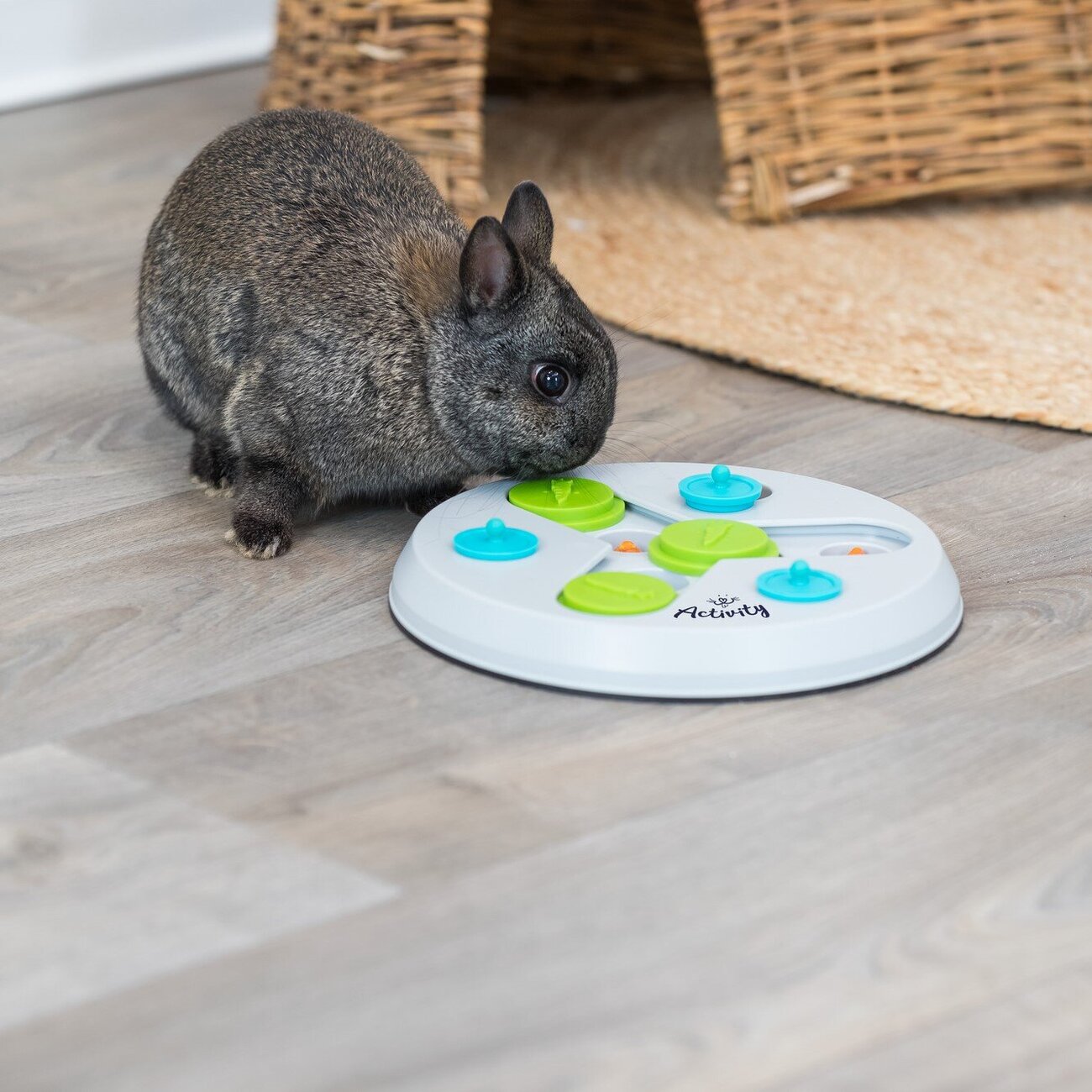 Strategie Spiel Slide & Fun für Kleintiere Bild 2