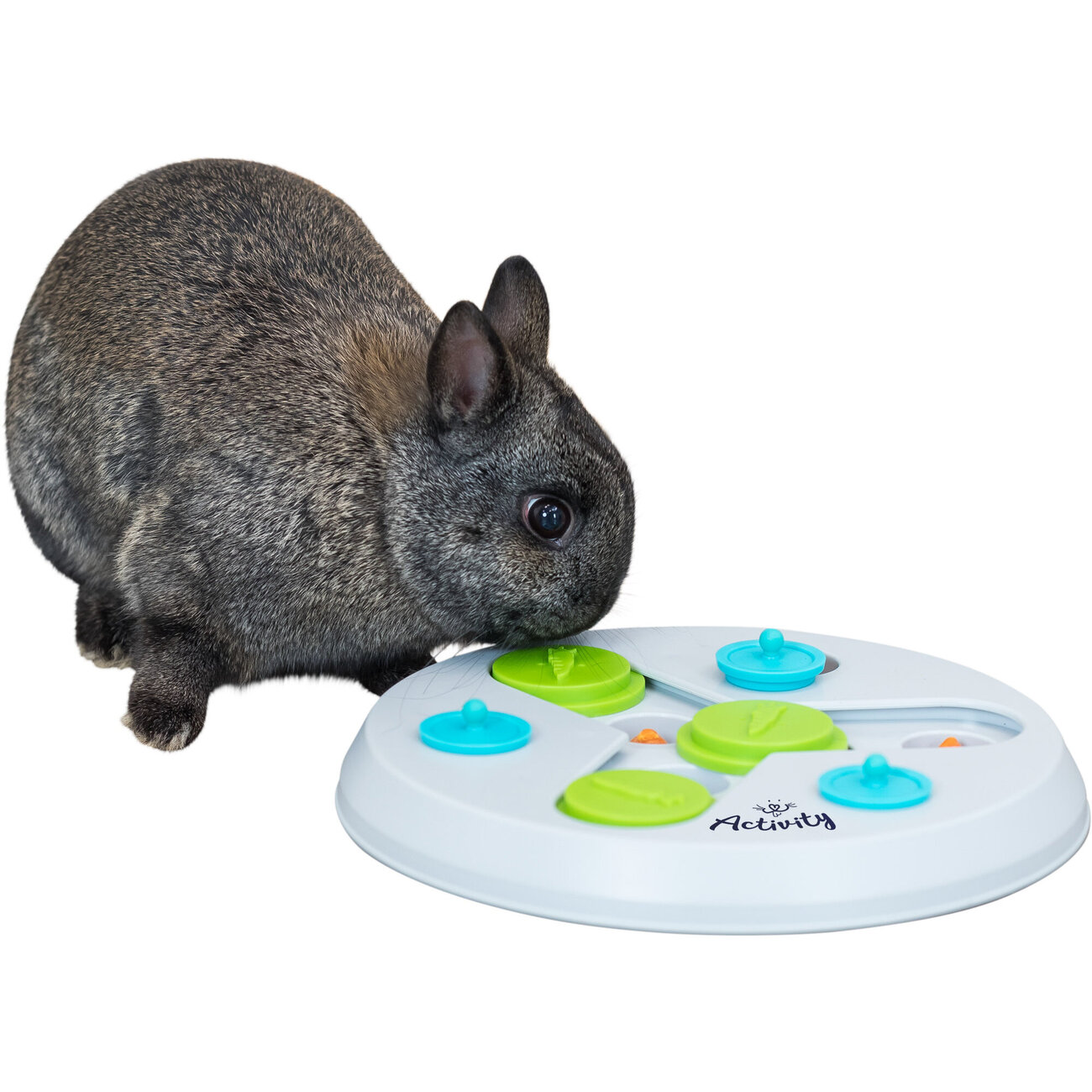 Strategie Spiel Slide & Fun für Kleintiere Bild 5