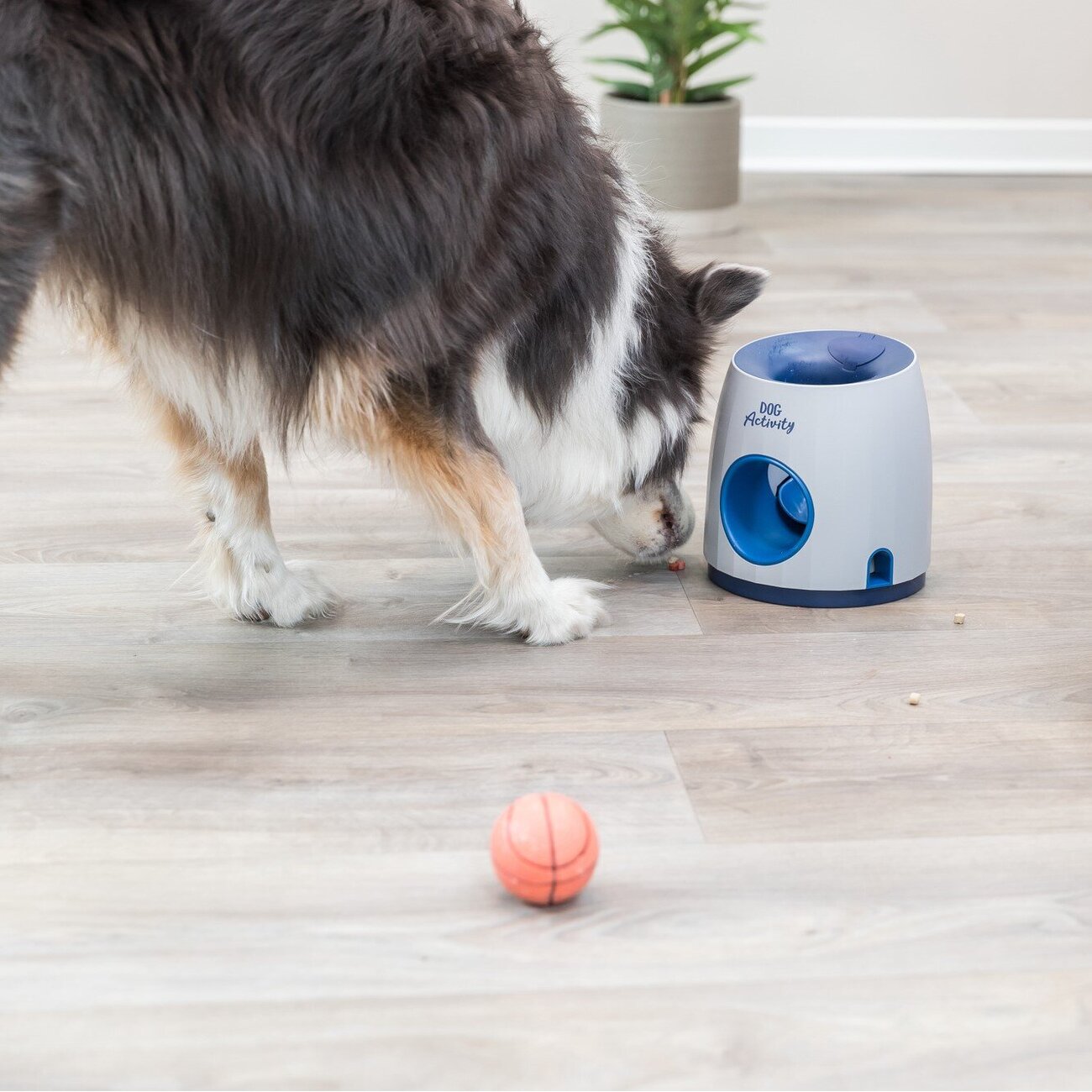 Dog Activity Strategiespiel Ball & Treat für Hunde Bild 2