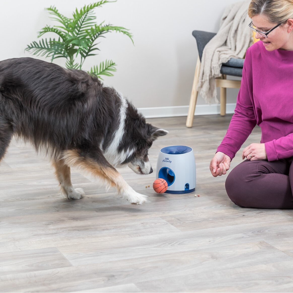 Dog Activity Strategiespiel Ball & Treat für Hunde Bild 12