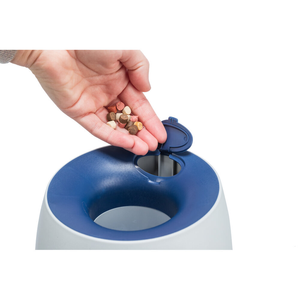 Dog Activity Strategiespiel Ball & Treat für Hunde Bild 9