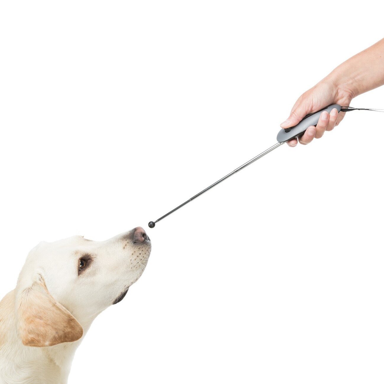 Target Stick mit Clicker Bild 5