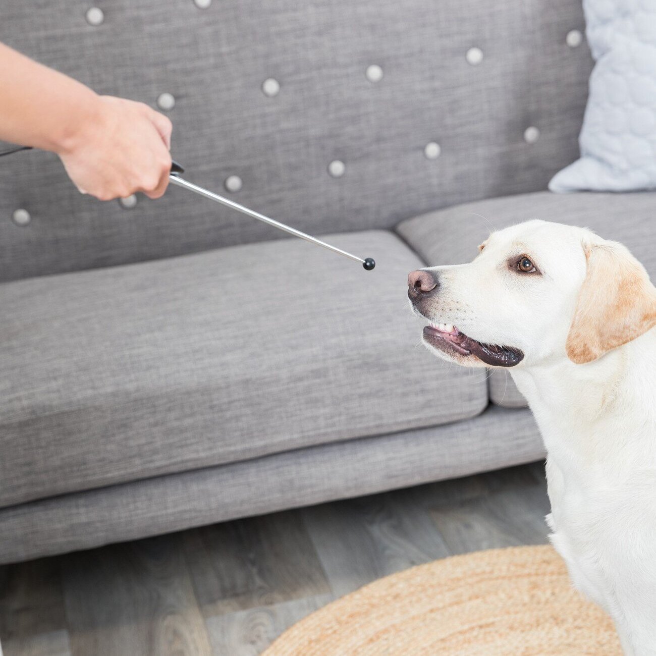 Target Stick mit Clicker Bild 9